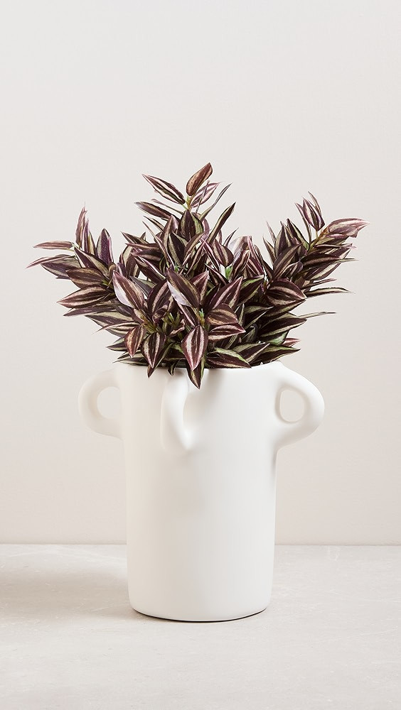 Loopy Small Vase | Shopbop