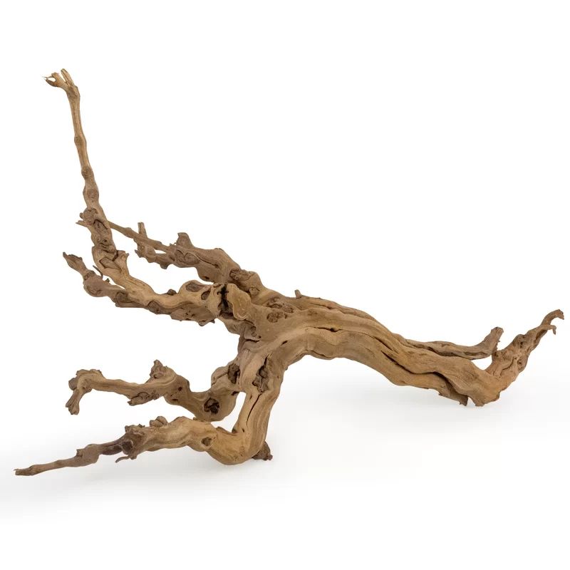 Aquilar Landscape & Nature Figurines & Sculptures | Wayfair North America