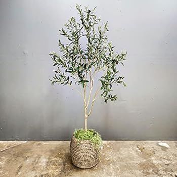 CEKKIENA A 6-Foot (70 inches) Artificial Olive Tree,Fake Olive Tree,Silk Olive Tree,OliveTree,Art... | Amazon (US)