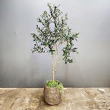 CEKKIENA A 6-Foot (70 inches) Artificial Olive Tree,Fake Olive Tree,Silk Olive Tree,OliveTree,Art... | Amazon (US)