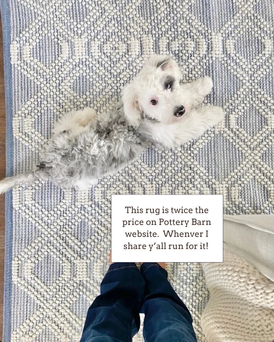 Love this rug 🙌🏻🙌🏻

#LTKdayinmylife #LTKSeasonal #LTKHome
