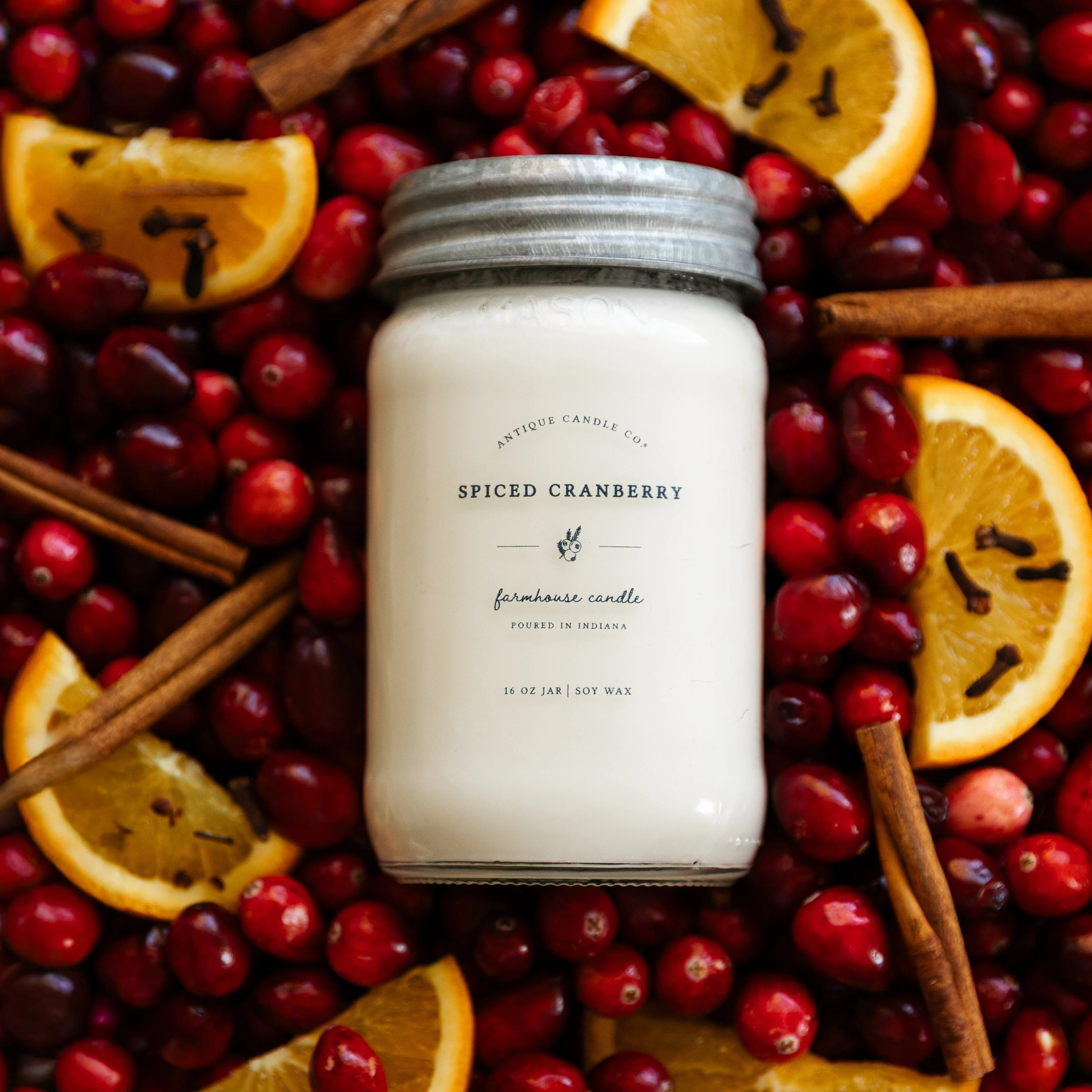 Spiced Cranberry 16 oz candle | Antique Candle Co.