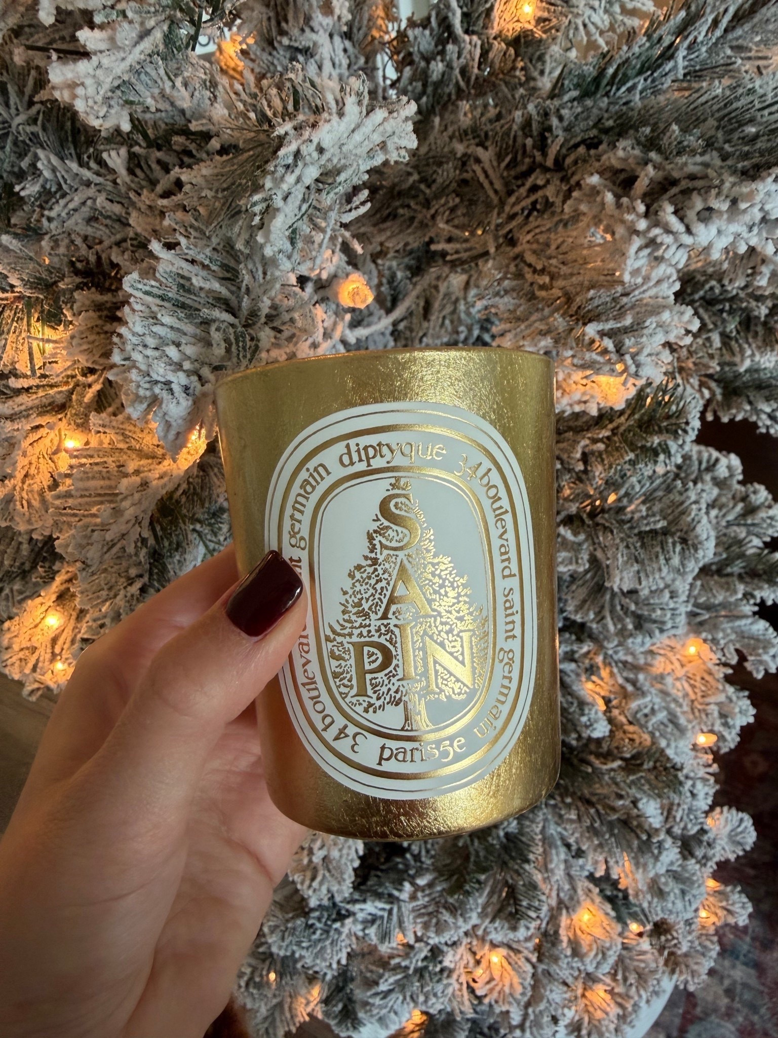 This diptyque candle smells incredible!!



#LTKSeasonal #LTKGiftGuide #LTKHoliday