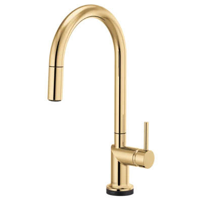 Odin® SmartTouch® Pull-Down Faucet with Arc Spout | Wayfair North America