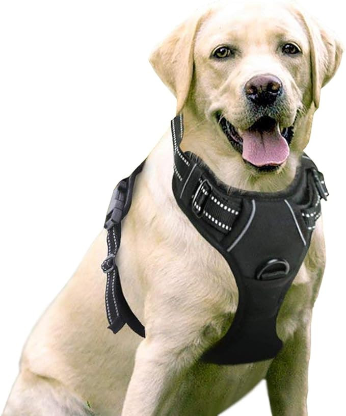 rabbitgoo Dog Harness No-Pull Pet Harness Adjustable Outdoor Pet Vest 3M Reflective Oxford Materi... | Amazon (US)