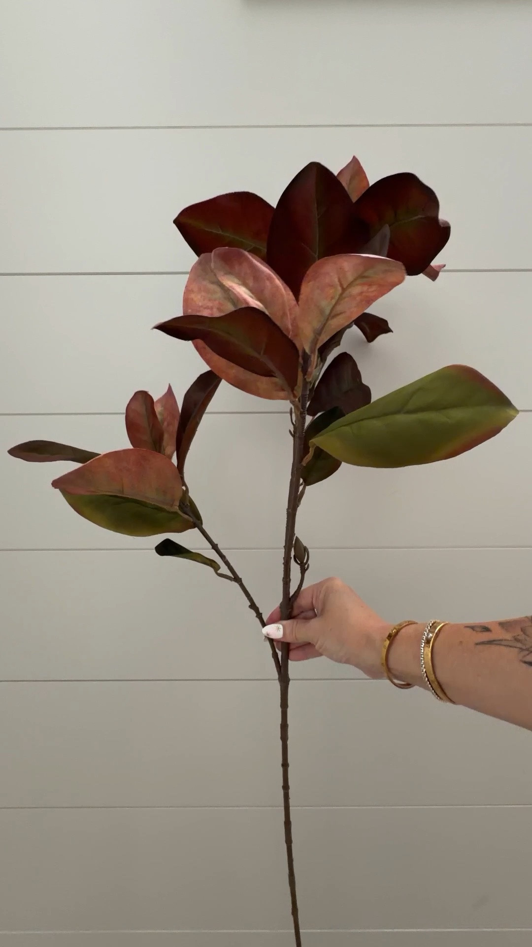 Some of my favorite fall stems ￼

#LTKHome #LTKSaleAlert #LTKSeasonal