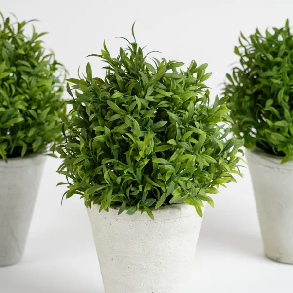 Set of 3 Artificial Topiary Plants in Cement Plant Pots | Dunelm