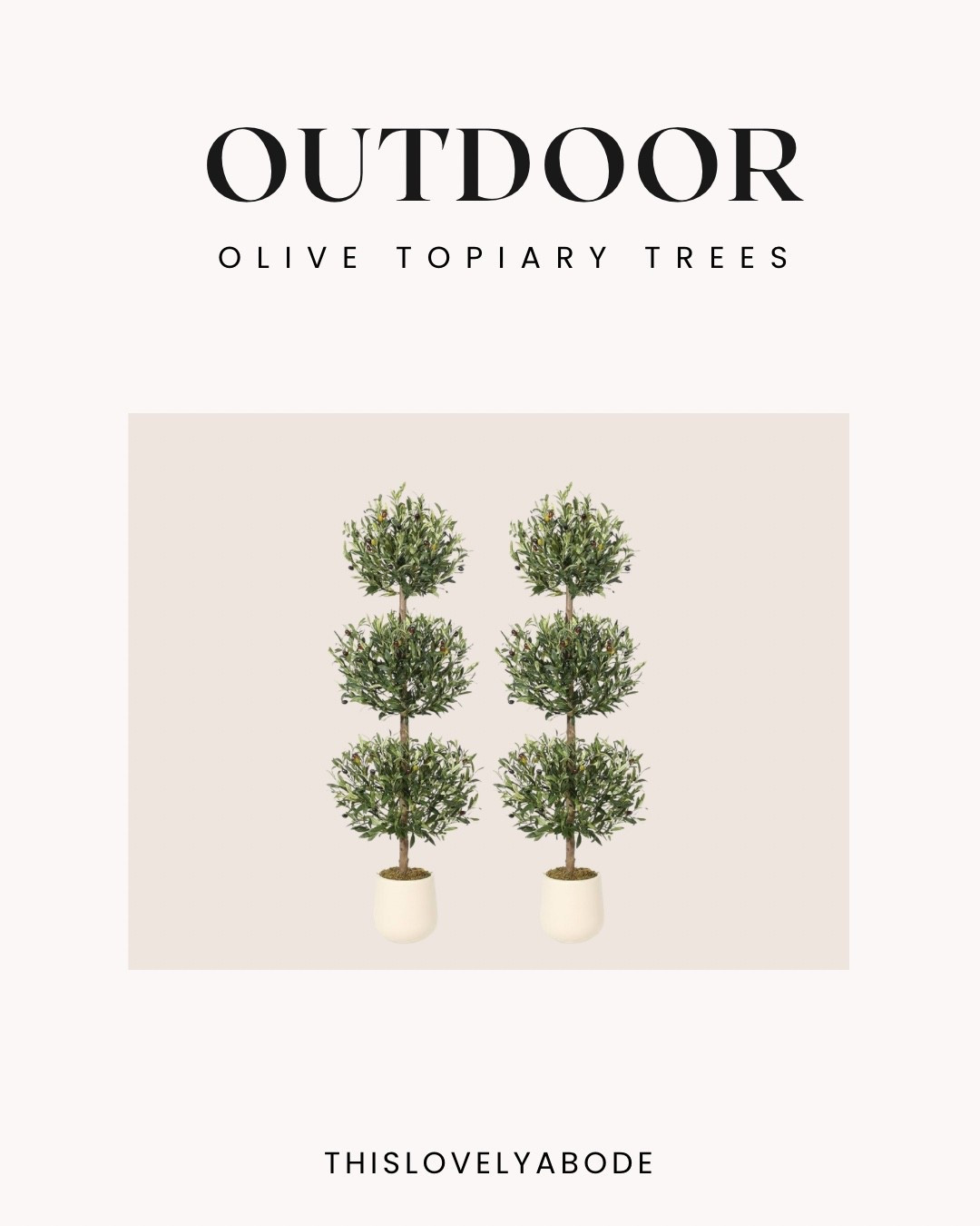 Back in stock! These come in a set of 2! 
#olivetree #amazon #topiarytree

#LTKHome
