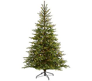 7' Lit North Carolina Spruce Christmas Tree by Nearly Natural | QVC