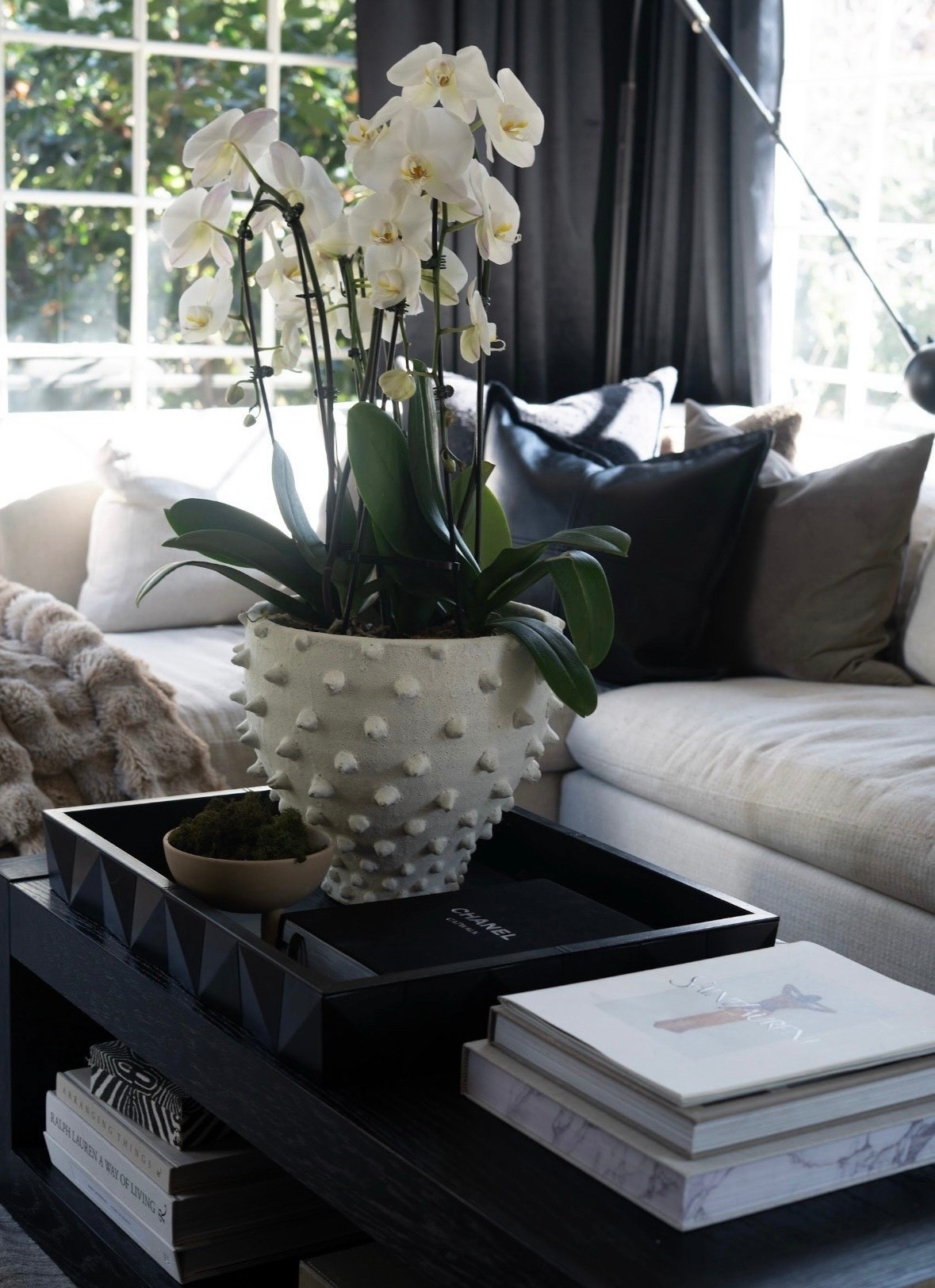 Iconic pieces don’t have to scream — they just show up and steal the scene.

These Wayfair finds are giving designer-level drama in the best way: sculptural silhouettes, bold contrast, rich texture, and that “where did you GET that?!” energy. The kind of decor that makes a room feel calm… but unforgettable.

#LTKHome #LTKSeasonal #LTKdayinmylife