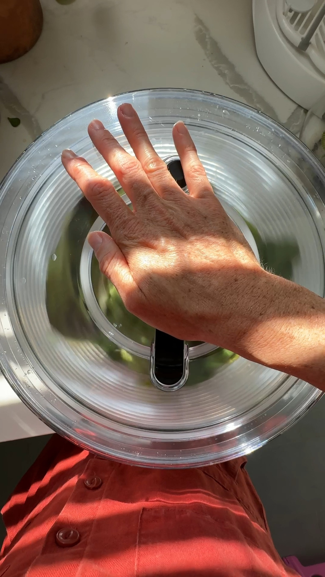 Important life update: I bought a salad spinner. Not sure why I waited so long - it’s great.

#LTKHome #LTKGiftGuide #LTKVideo