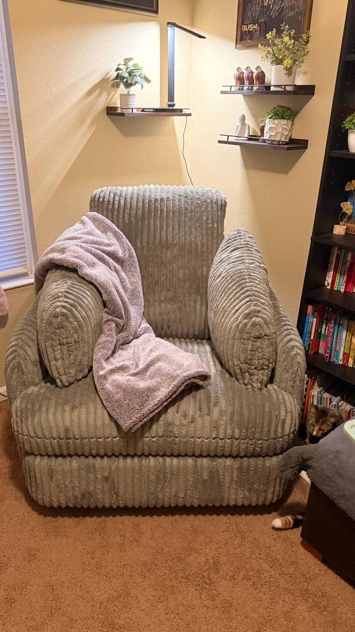 My reading chair has arrived and it’s still 30% off right now! 

#LTKmomlife #LTKdayinmylife #LTKselfcare
