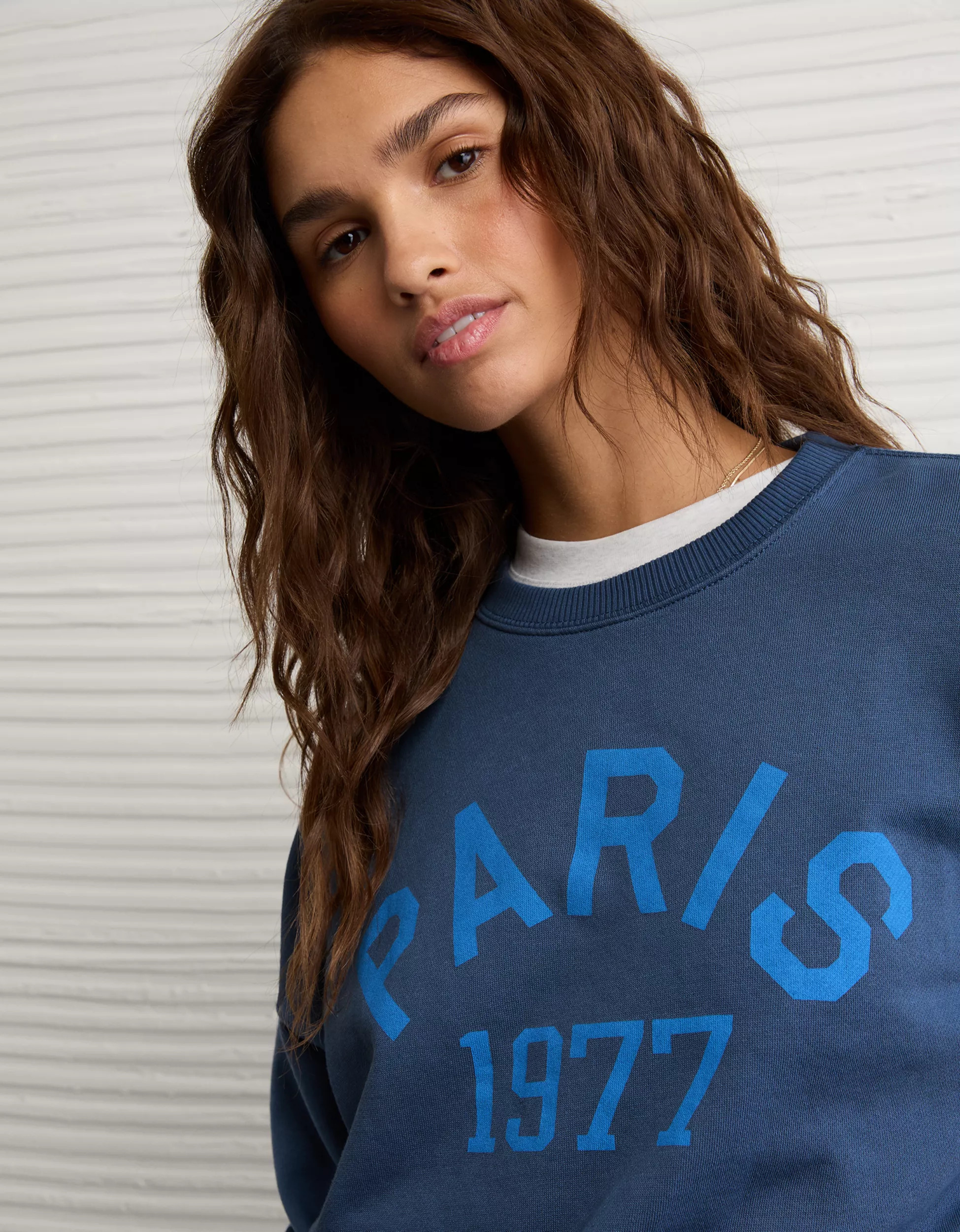 AE Funday Graphic Sweatshirt | American Eagle Outfitters (US & CA)