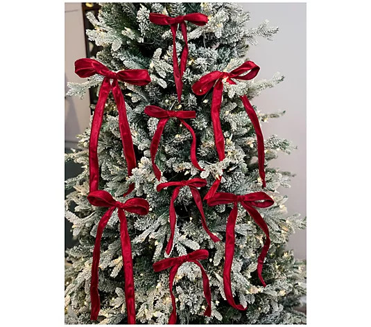 Simply Stunning Set of 8 Velvet Bow Clips by Janine Graff - QVC.com | QVC