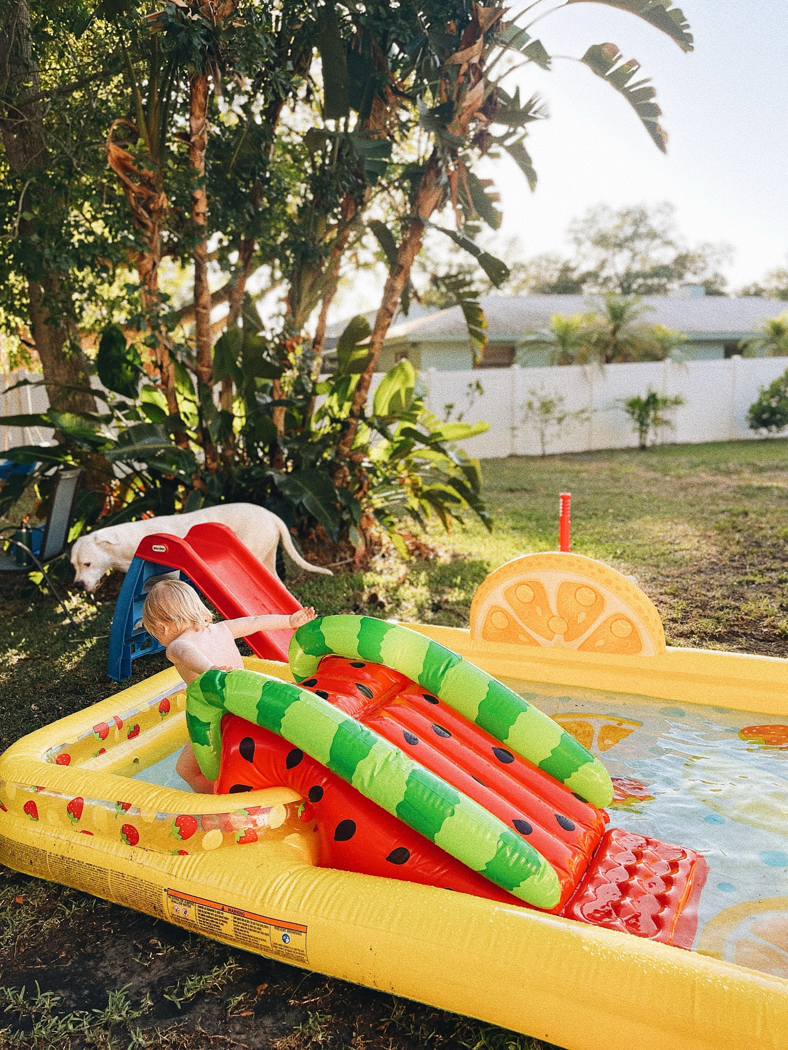 Backyard summer fun 

#LTKSeasonal #LTKKids #LTKHome