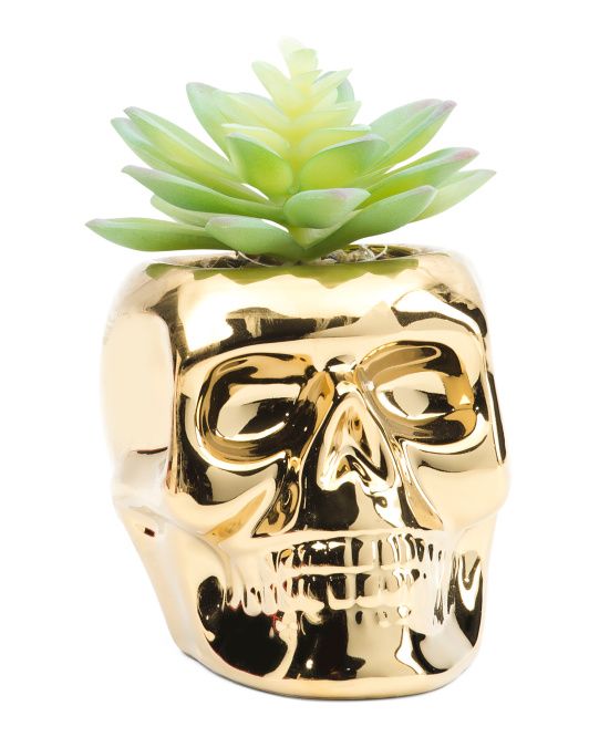 5in Succulent In Metallic Skull Planter | TJ Maxx