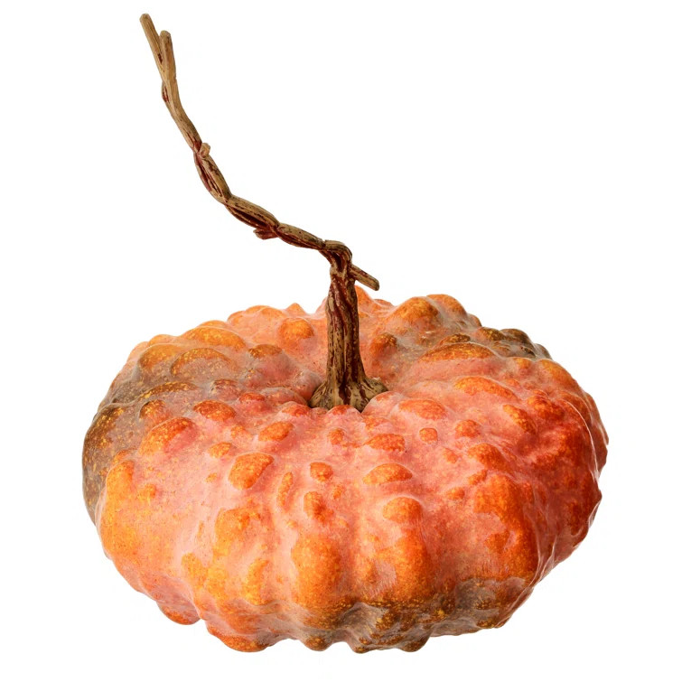 Hybrid Pumpkin | Wayfair North America