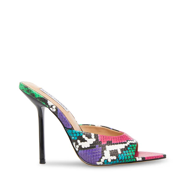 DAINTY MULTI SNAKE | Steve Madden (US)