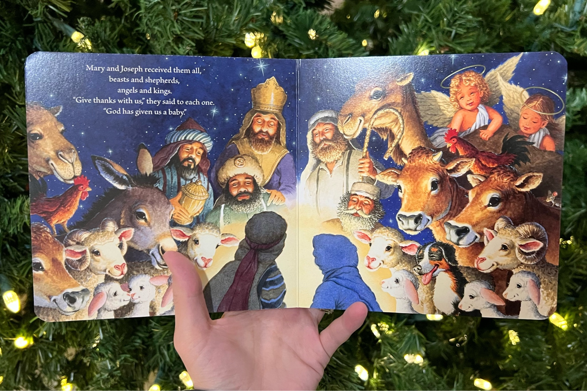 Great Christmas story board book for kids!

#LTKHoliday #LTKBaby #LTKSeasonal
