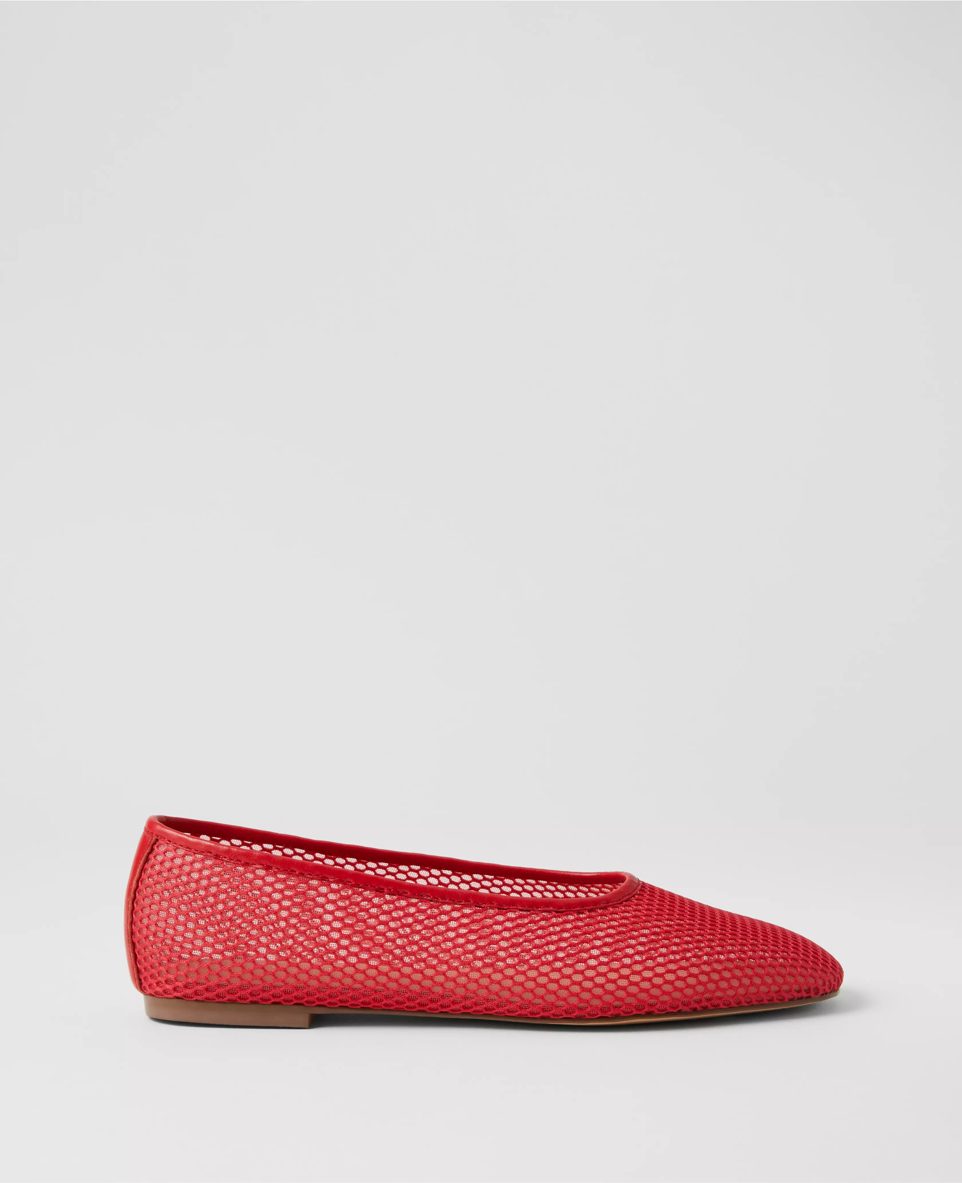 Mesh Ballet Flats | Ann Taylor