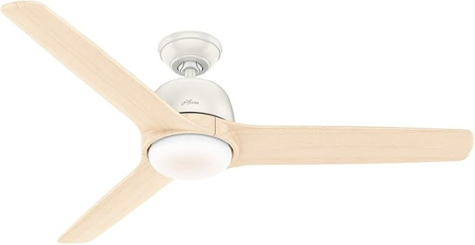 Hunter Fan Company Hunter 59423 Contemporary Modern 54`` Ceiling Fan with Light from Norden Colle... | Amazon (US)
