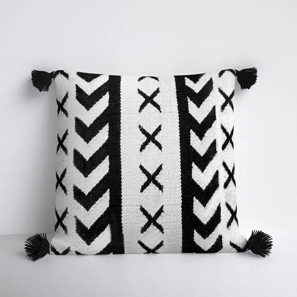 Kalindi Tassels Pillow Cover | Wayfair North America