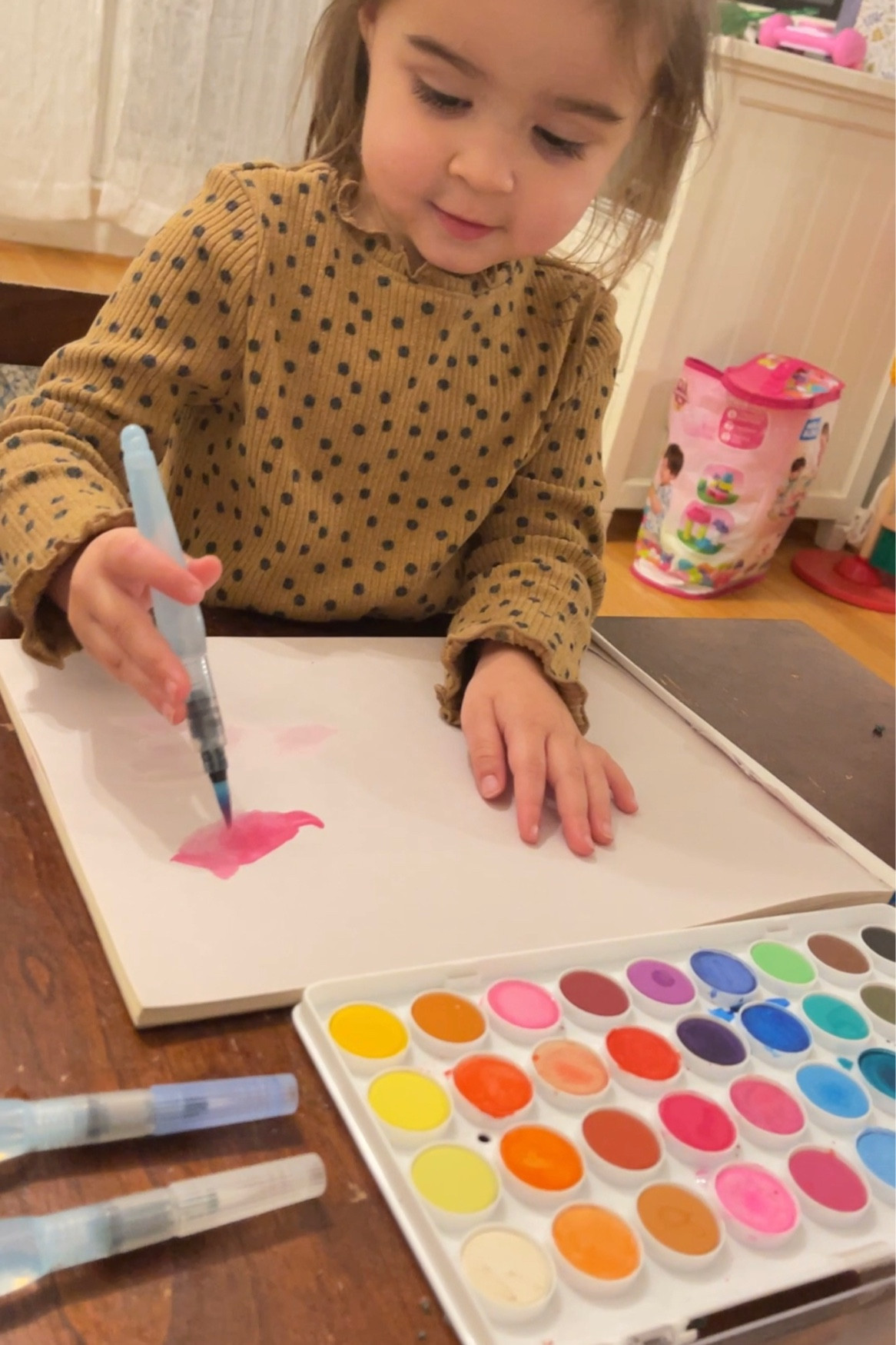A lot of people have asked about these paint brushes for water coloring. They are perfect for littles and eliminate the dreaded water cup from becoming messy or tipping over! Help your little ones explore their creativity. 