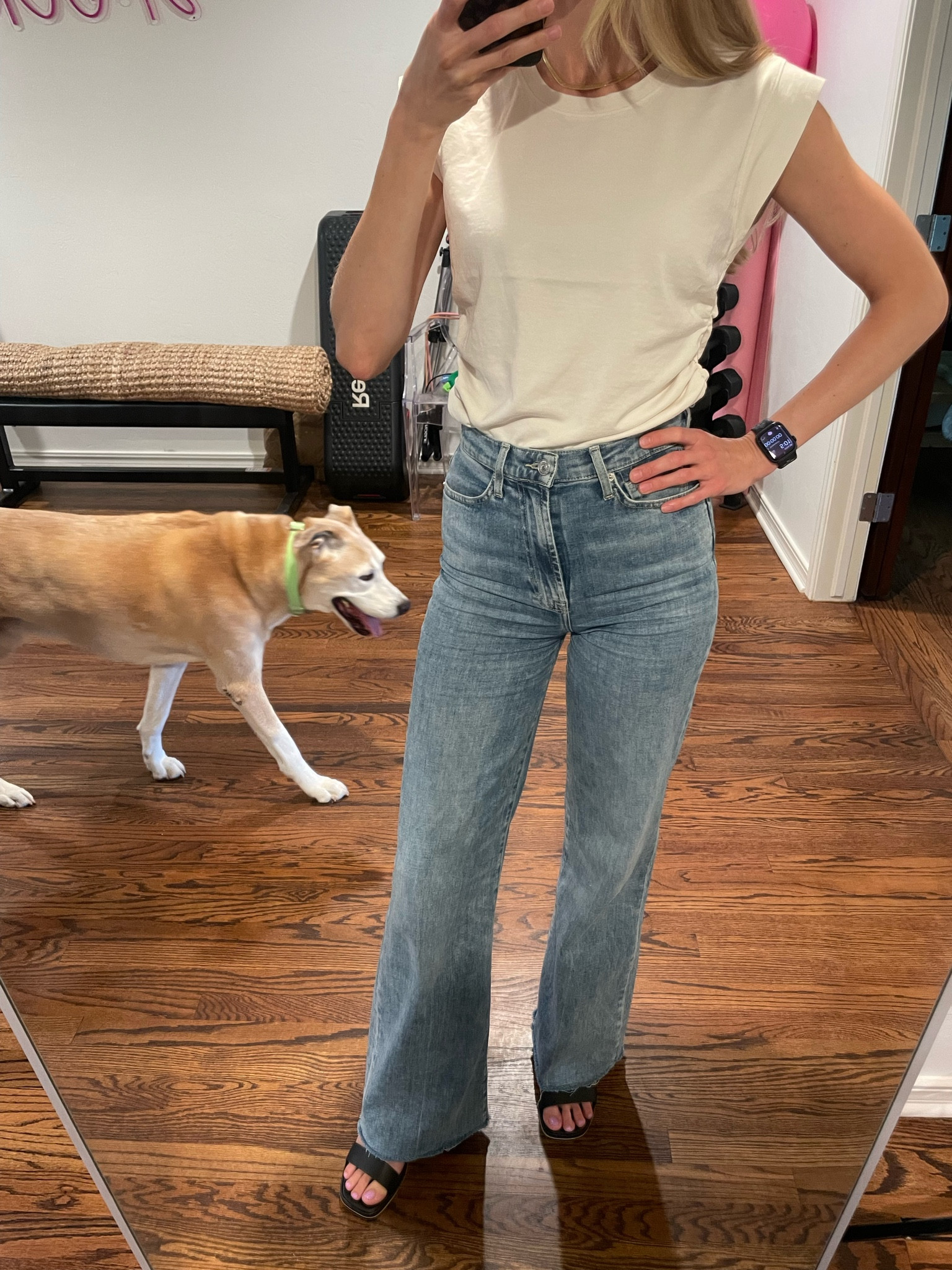 These jeans are stunning, soft, and the perfect wide leg jean for all seasons! Paired with an elevated basic white tee. You can’t go wrong with this classic outfit combo

Linked some other fall faves, including madewell 25% picks

fall pants, fall outfit, fall transitional outfit, back to school, teacher outfit, work outfit, basic white t shirt, casual work outfit, fall fashion, trends, school outfit, business casual, sneakers, Nike sneakers, sneakers with trousers outfit, high rise trouser, wide leg pants, pumpkin patch, school, travel outfit, casual work outfit, holiday, gift, Christmas, old navy, , casual Friday, family photos, jeans, Abercrombie 

#LTKHolidaySale 

#LTKstyletip #LTKGiftGuide