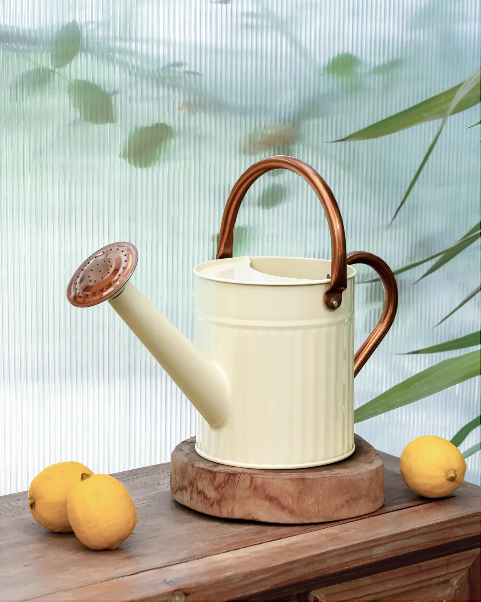 1/2 Gallon Stainless Steel Watering Can Removable Spout Embossed Design Indoor Outdoor Plants Hom... | Wayfair North America