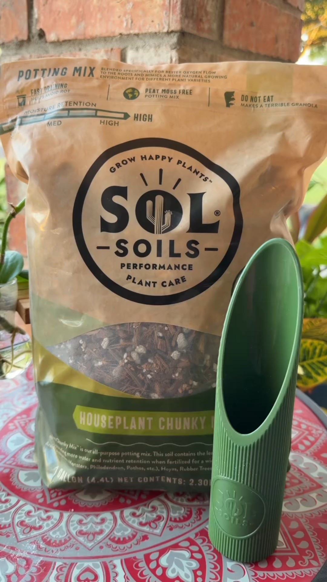 It was time for these babies to graduate to a big pot with the help of Sol Soils. Love this for indoor plants  

#LTKselfcare #LTKHome