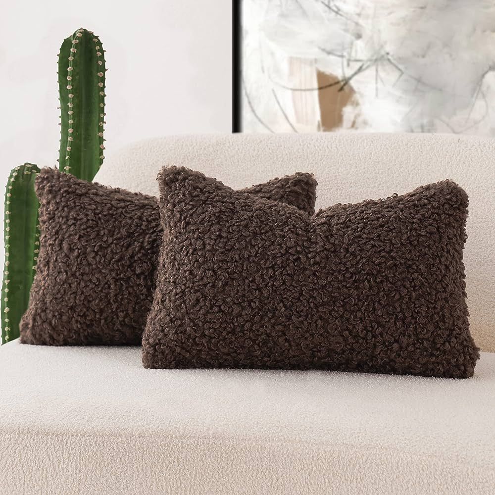 Foindtower Set of 2 Curly Teddy Wool Pillow Covers Decorative Boucle Textured Lumbar Throw Pillow... | Amazon (US)