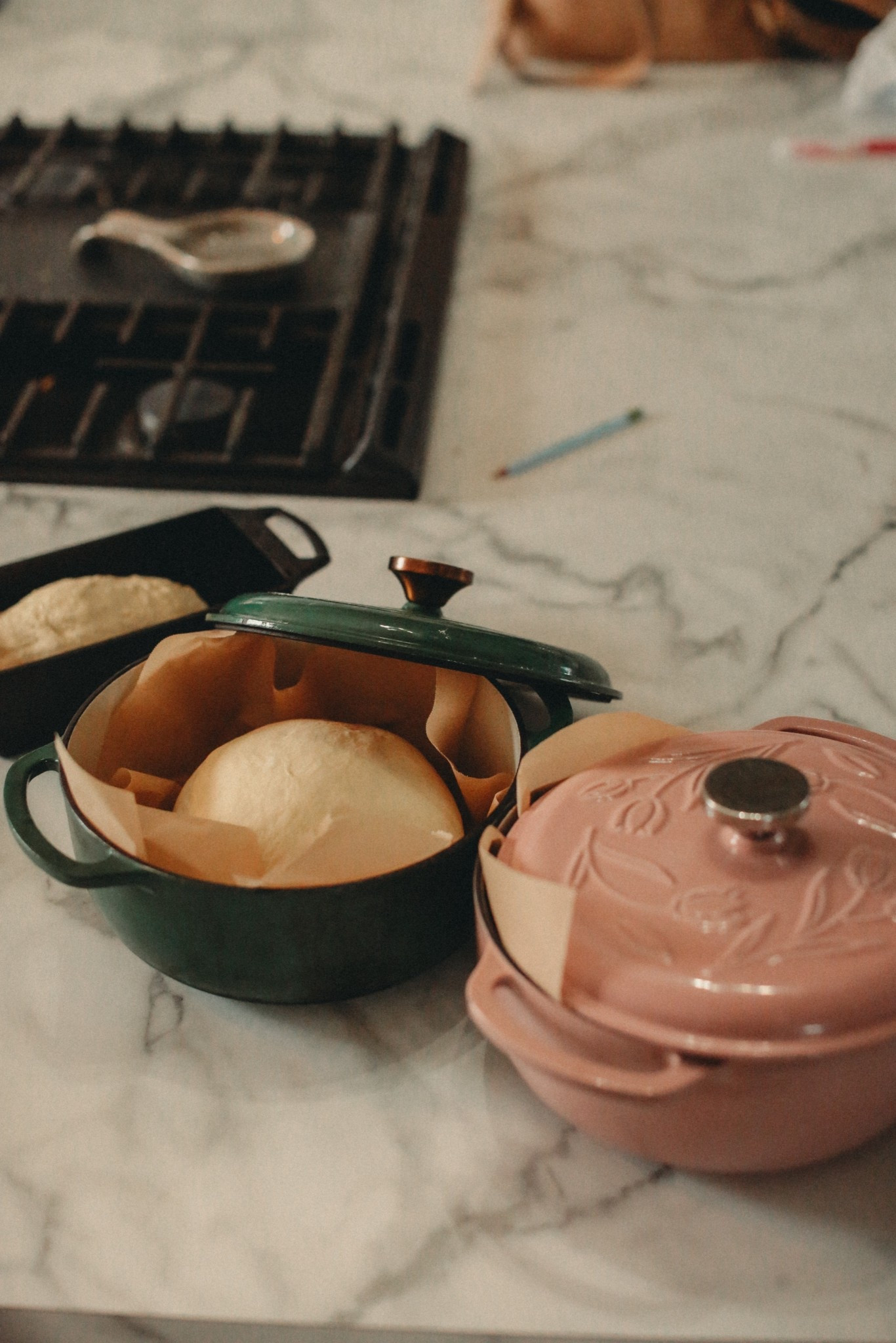Spring cooking just got a little prettier. This pink Lodge Dutch oven with tulips on the lid is as functional as it is beautiful. Heavy enameled cast iron means even heat, perfect browning, and oven-to-table meals that stay warm for hours. I reach for it for sourdough boules, slow soups, braises, roasts, and even fruit crisps. It’s one of those pieces you leave out on the stove because it doubles as décor.

If you love practical heirloom cookware that still feels soft, cozy, and farmhouse-spring inspired, this one is worth grabbing while it’s around. Linking it here for you.

#LTKHome #LTKfoodie
