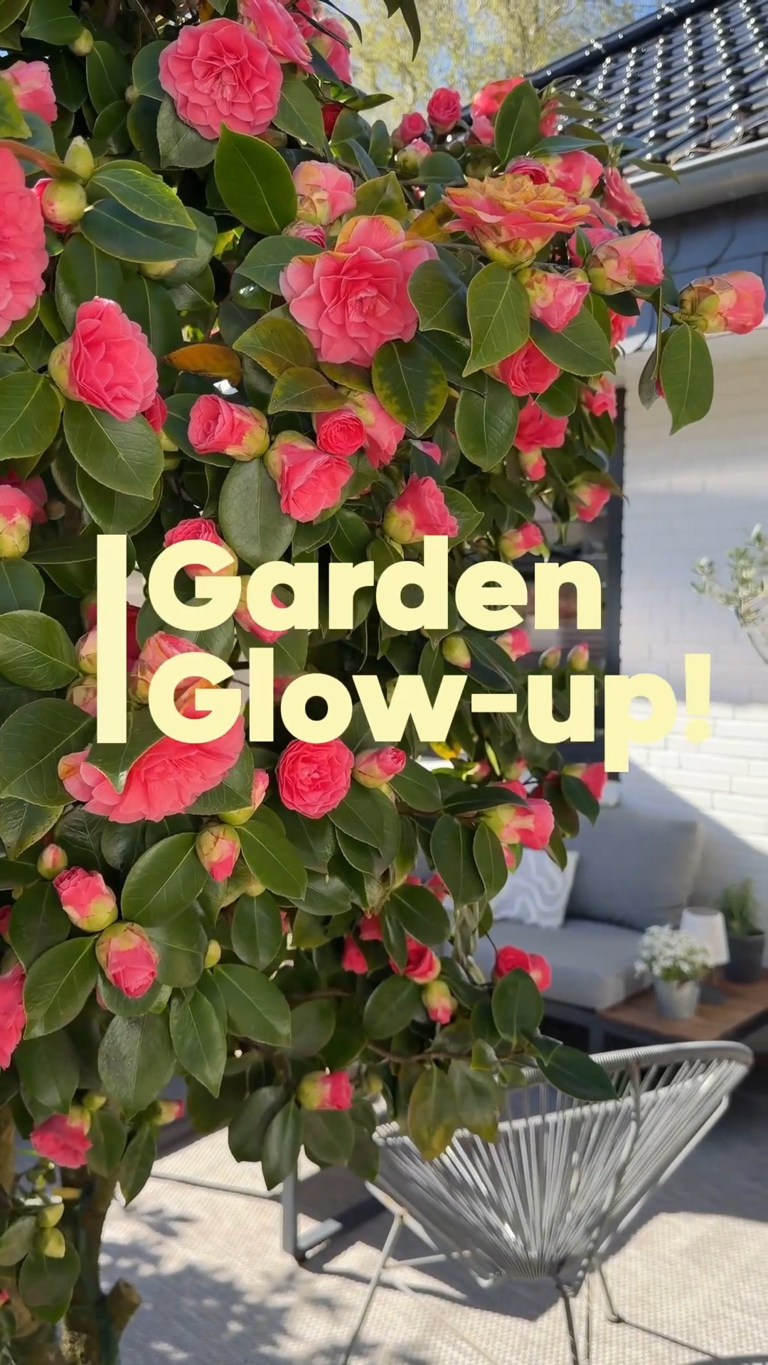 Garden Glow-up

#LTKsummer #LTKdeutschland #LTKhome