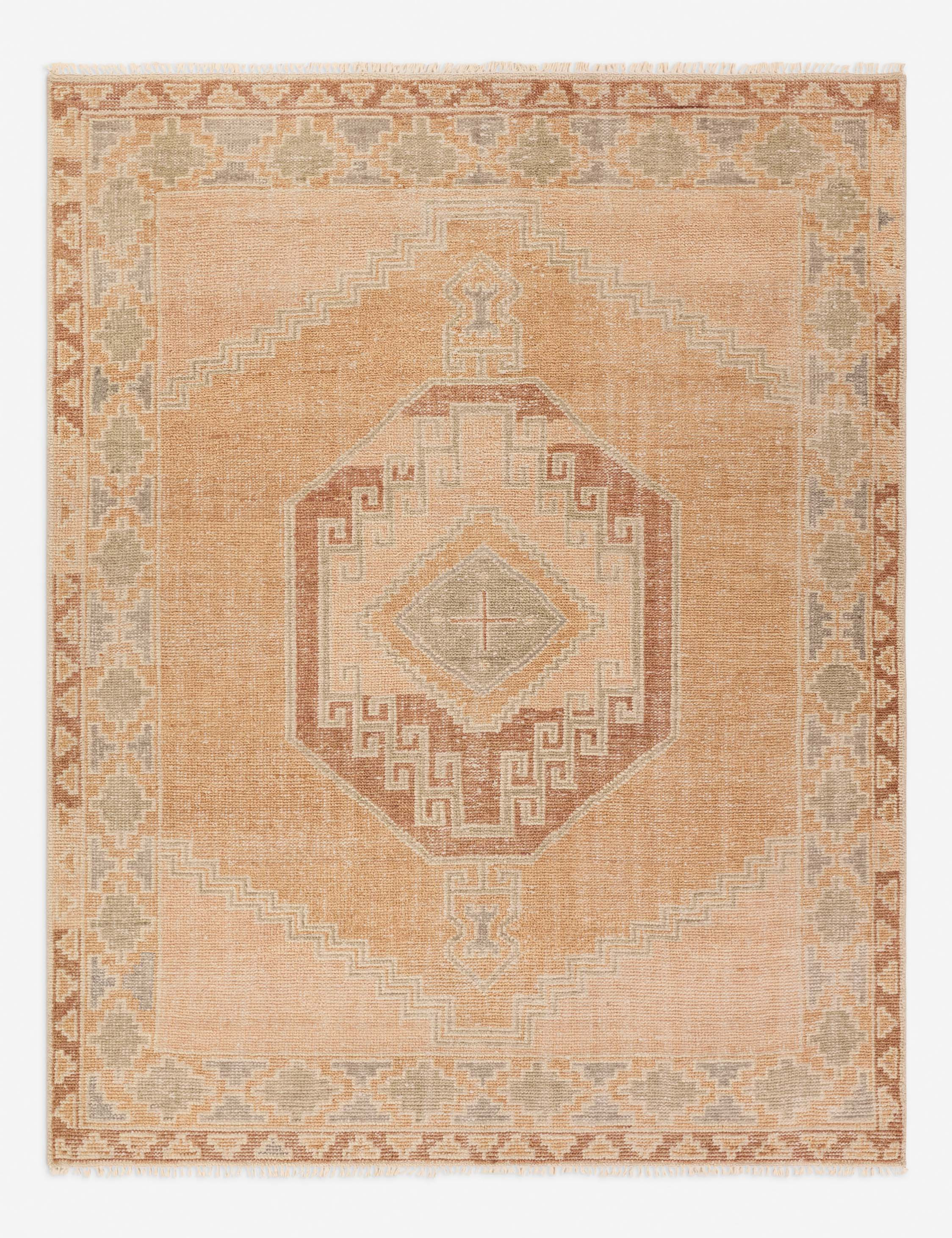 Ambretta Hand-Knotted Wool Rug | Lulu and Georgia 