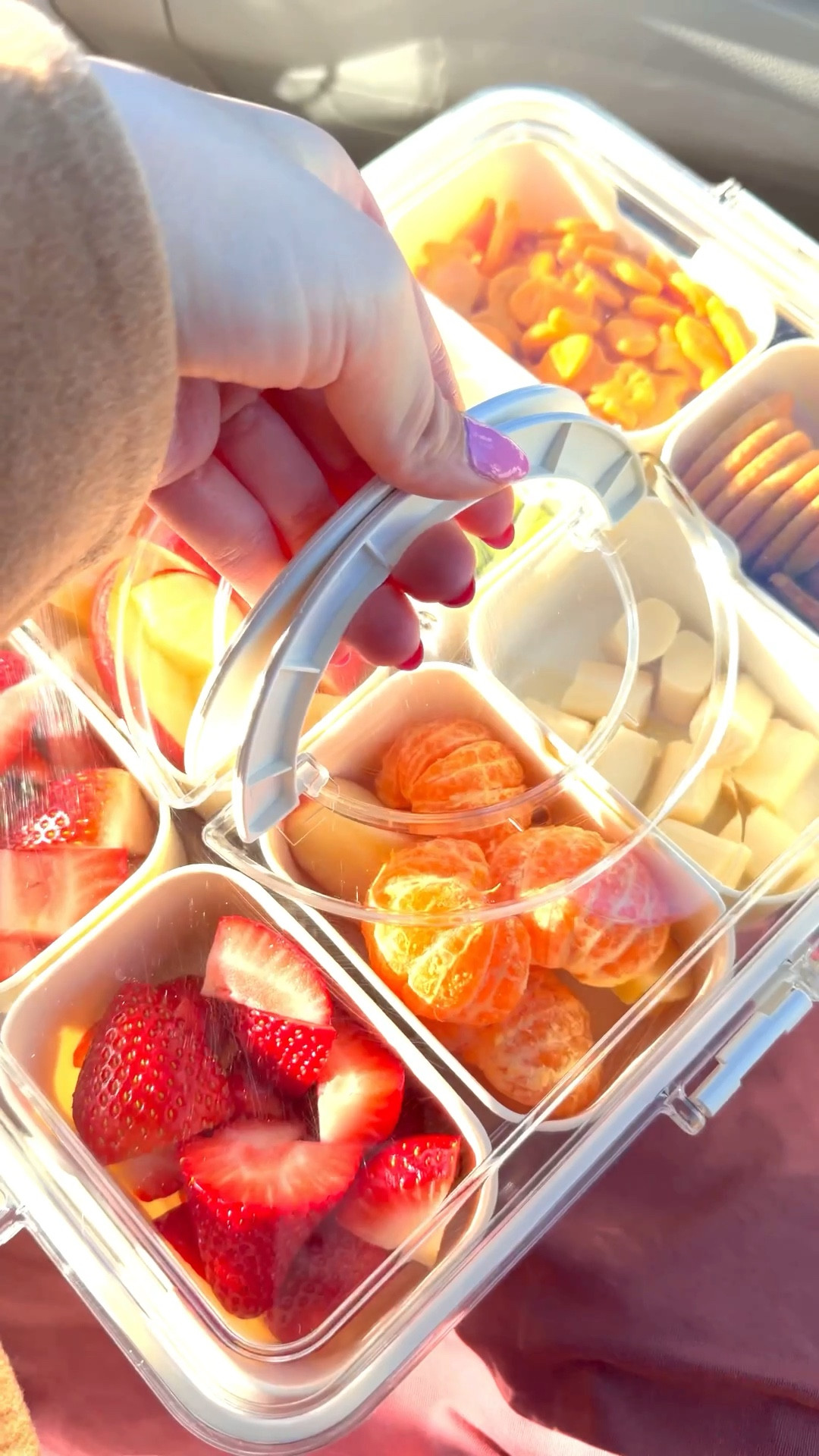 SNACKLE BOX! 
Road trip snacks! Spending the holiday weekend in Vancouver, Canada!

#LTKfoodie #LTKTravel #LTKHome