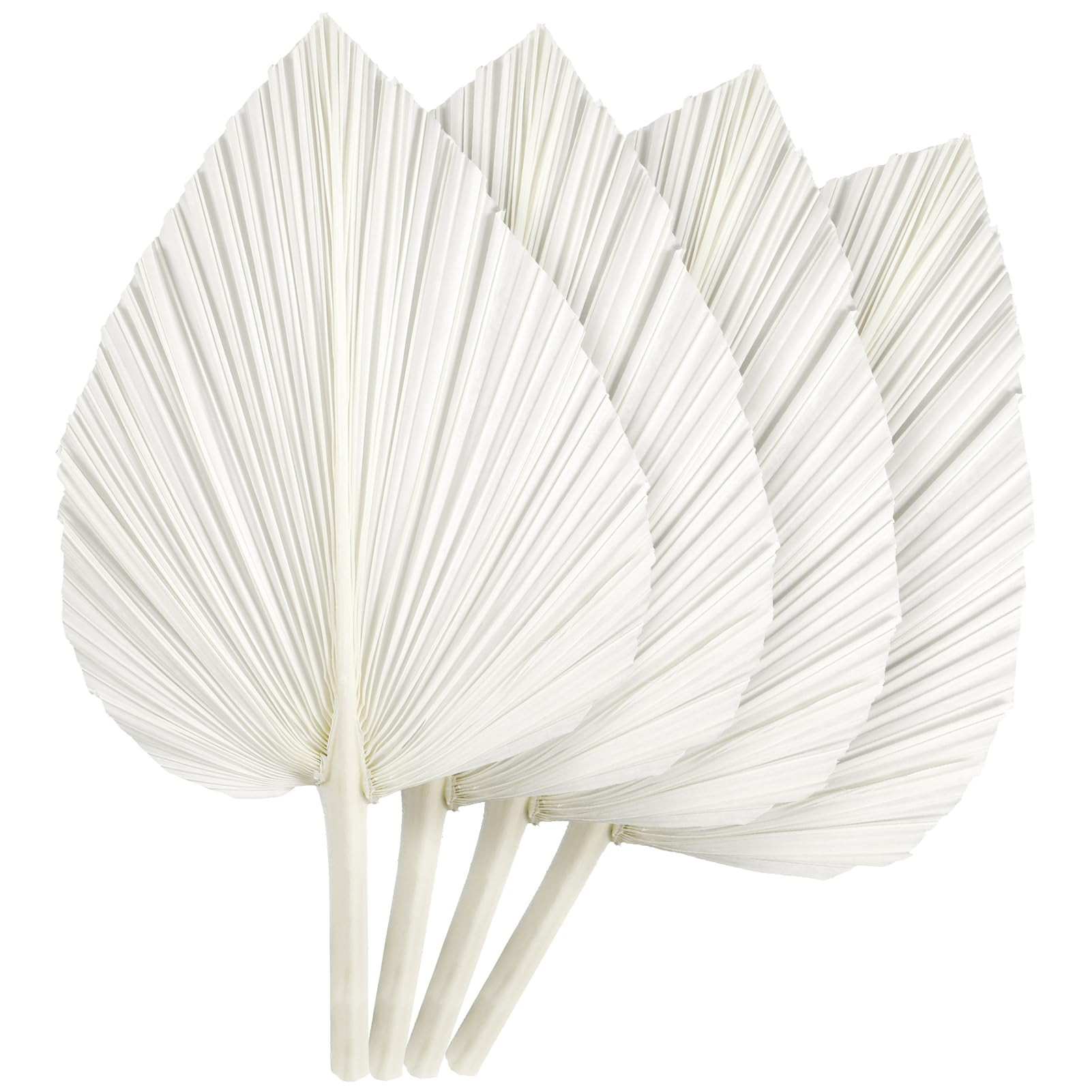 4 Pcs Large White Dried Palm Leaves, Home Wedding Decor Natural Boho Dried Palm Leaves Fans with ... | Amazon (US)