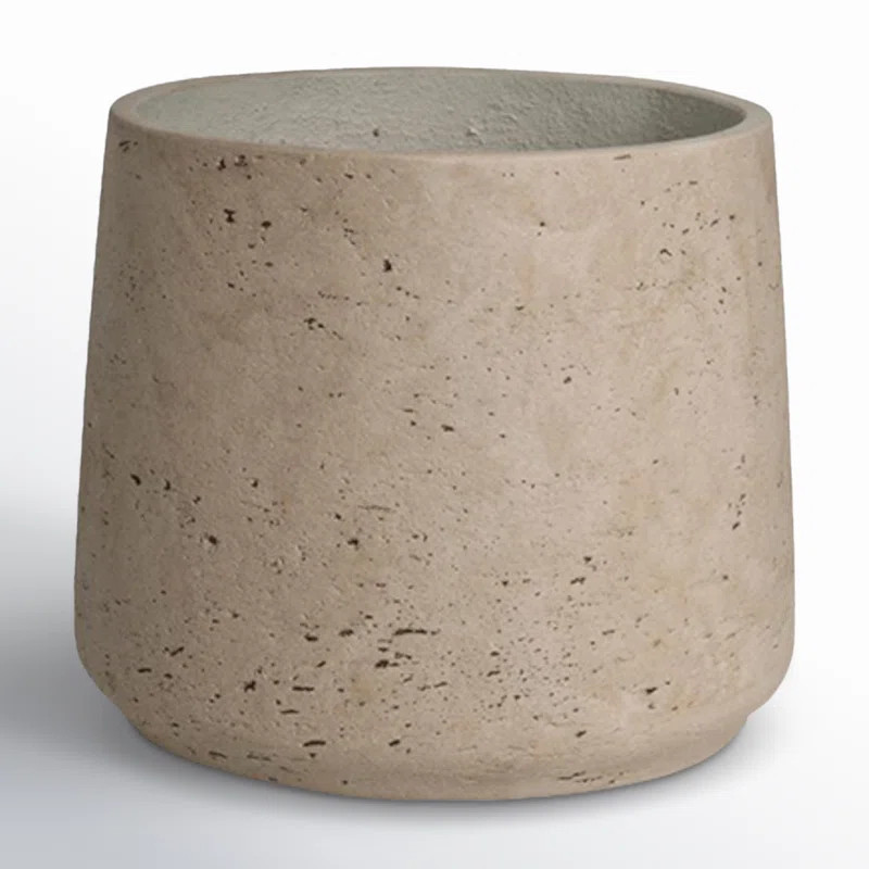 AllModern Adona Fibercement Pot Planter & Reviews | Wayfair | Wayfair North America