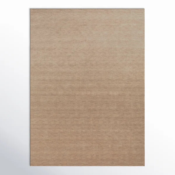 Ameia Performance Wool Indoor Rug | Wayfair North America