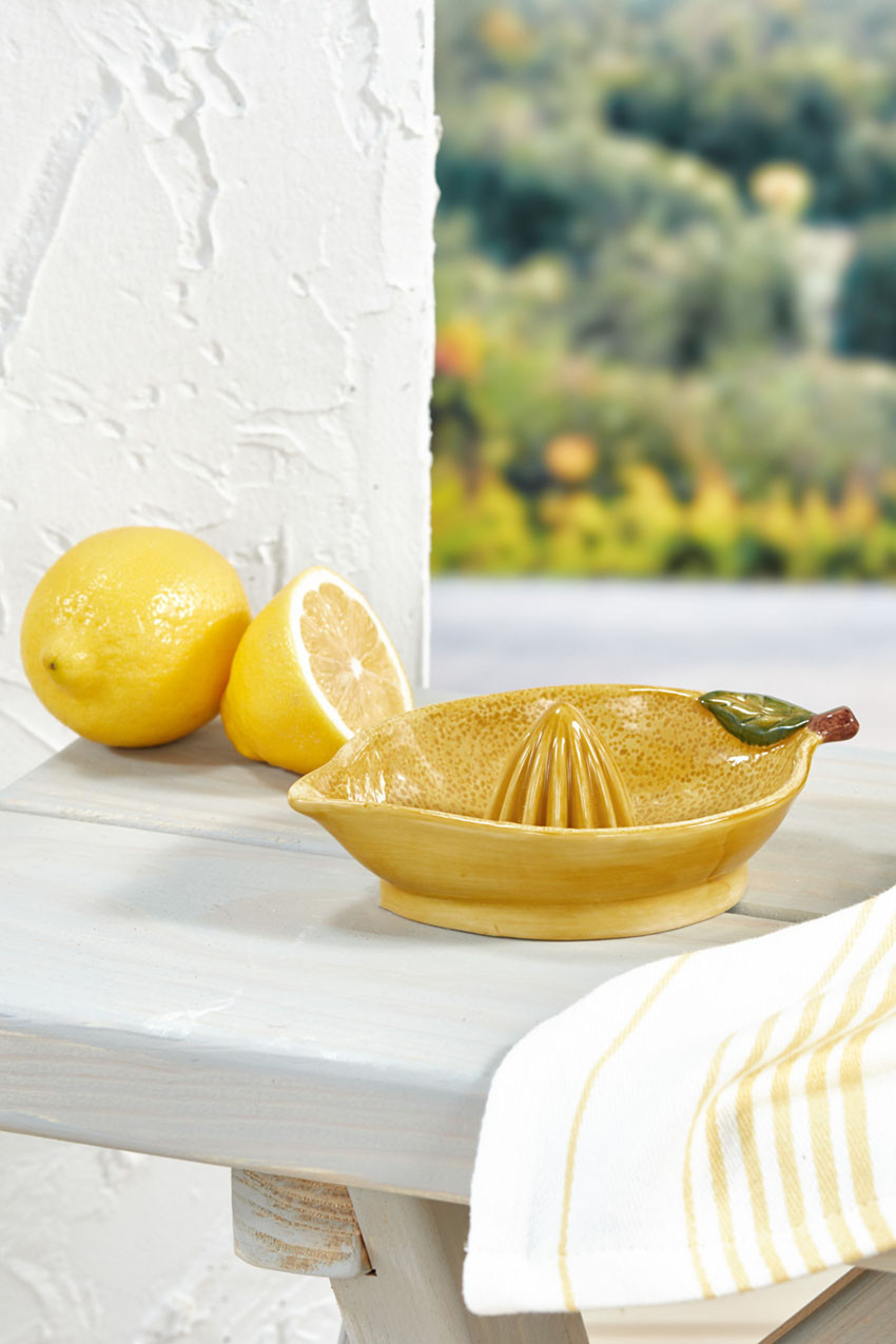 Handpainted Lemon Juicer | Coldwater Creek