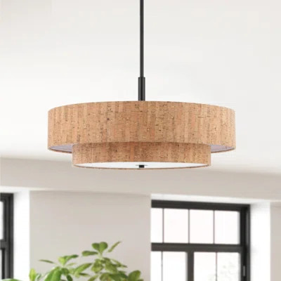 Fagundes 5 - Light Dimmable Drum Shaded Chandelier | Wayfair North America