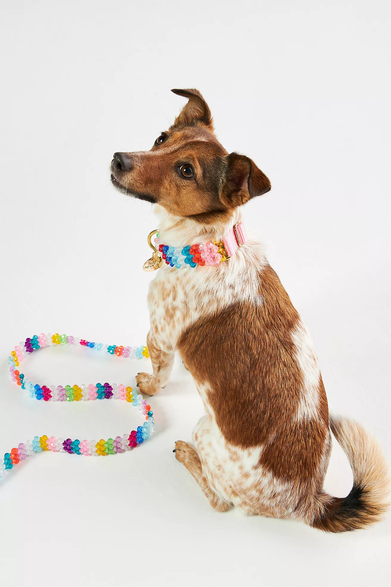 Susan Alexandra Beaded Walk Leash & Collar Bundle | Anthropologie (US)