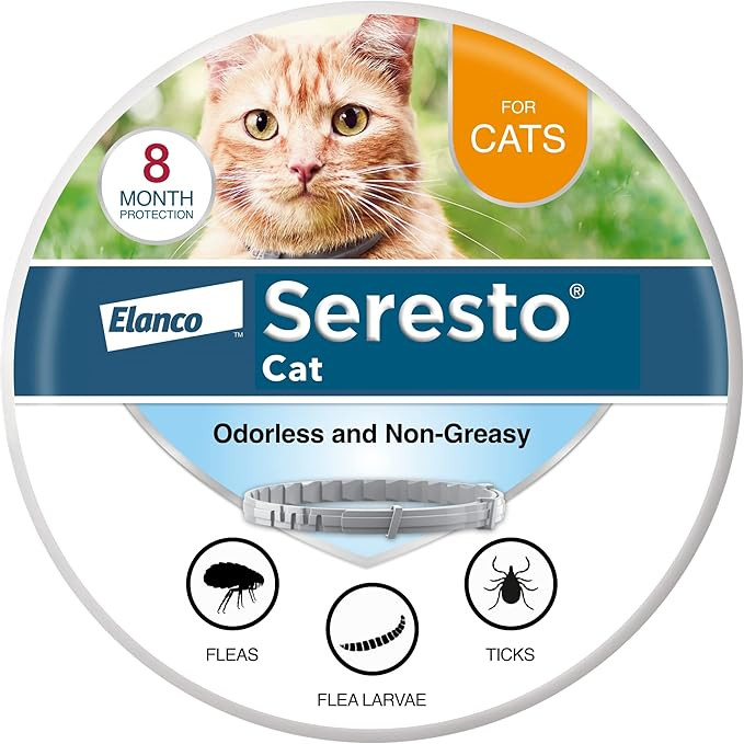Seresto Cat Vet-Recommended Flea & Tick Treatment & Prevention Collar for Cats | 8 Months Protect... | Amazon (US)