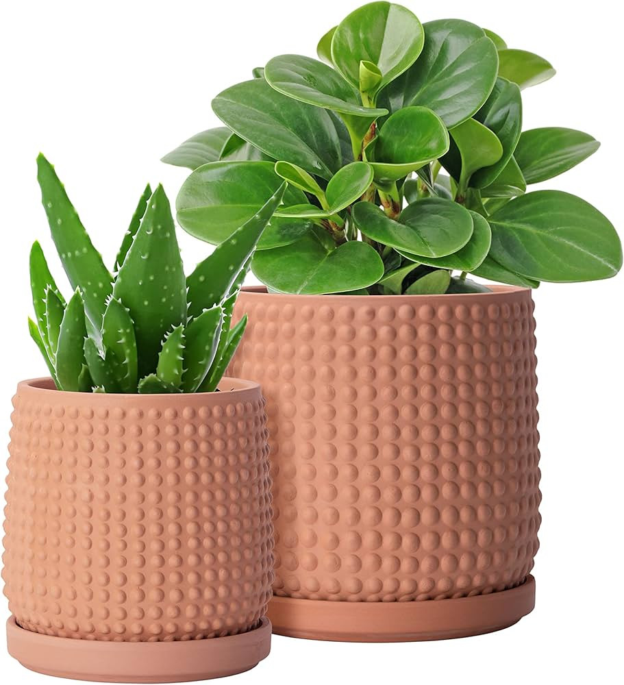 D'vine Dev 6 Inch 4 Inch Terracotta Indoor Planter Pots with Drainage Hole and Saucer, Beaded Des... | Amazon (US)