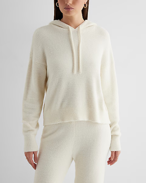 Plush Knit Hooded Sweater | Express