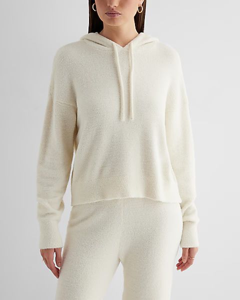 Plush Knit Hooded Sweater | Express