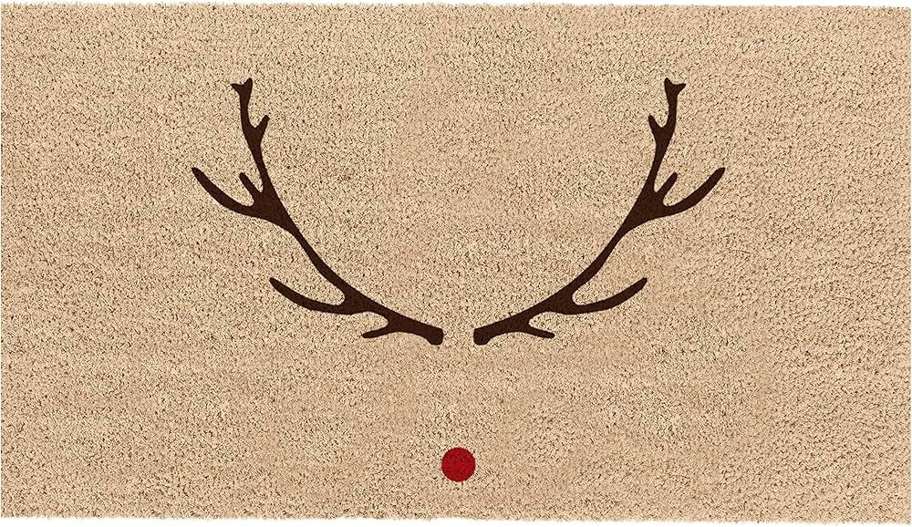 THEODORE MAGNUS Natural Coir Doormat with Non-Slip Backing - 17 x 30 - Outdoor/Indoor - Christmas... | Amazon (US)