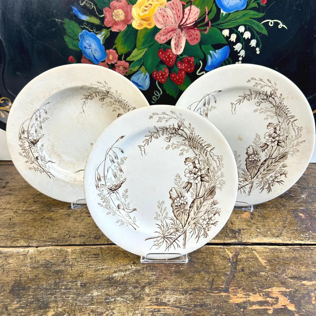 Antique Ashworth Brothers Transferware Plate Set: Brown Victoria Floral C1880 - Etsy | Etsy (US)