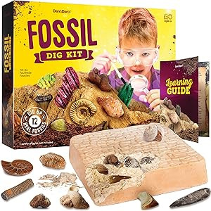 Real Fossil Dig Kit for Kids - Mega Science Kits for Boys & Girls Age 8-12 - Birthday Gift Ideas ... | Amazon (US)