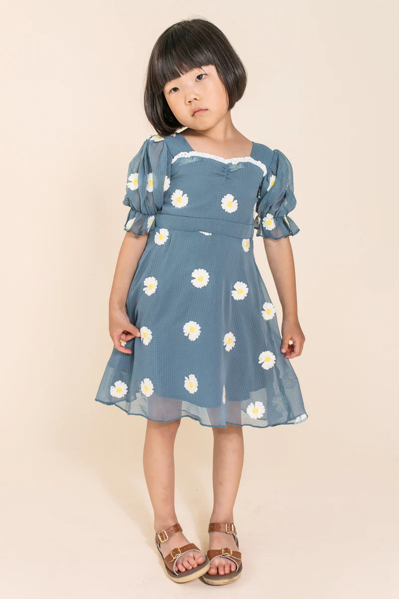 Mini Daisy Embroidered Dress | Ivy City Co