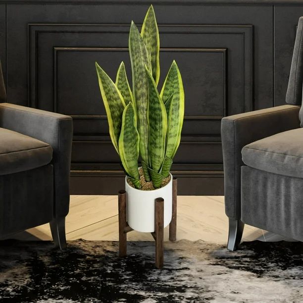 GreenBoxx 27" Artificial Snake Plant With Pot & Stand Included - Walmart.com | Walmart (US)
